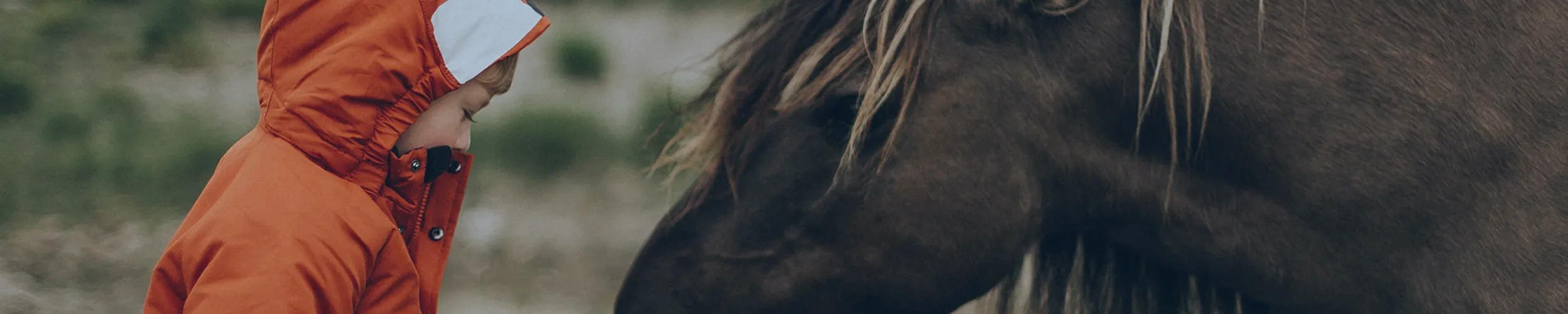 Convivenze in Armonie